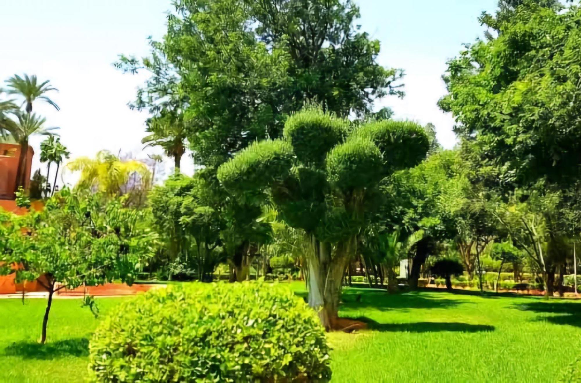 La Perle De L'Atlas By Golf Resort Μαρακές Εξωτερικό φωτογραφία